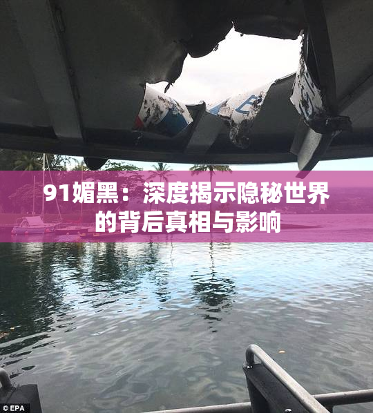 91媚黑：深度揭示隐秘世界的背后真相与影响