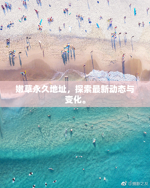 嫩草永久地址，探索最新动态与变化。