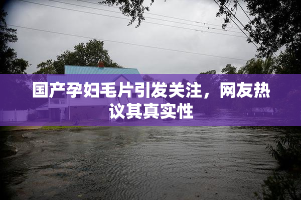国产孕妇毛片引发关注，网友热议其真实性