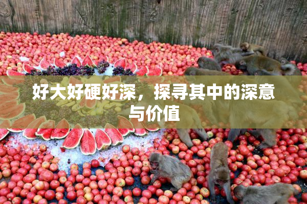 好大好硬好深，探寻其中的深意与价值