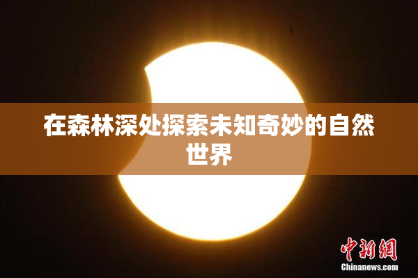 在森林深处探索未知奇妙的自然世界