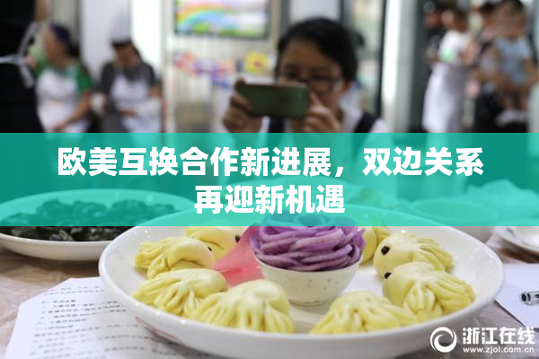 欧美互换合作新进展，双边关系再迎新机遇