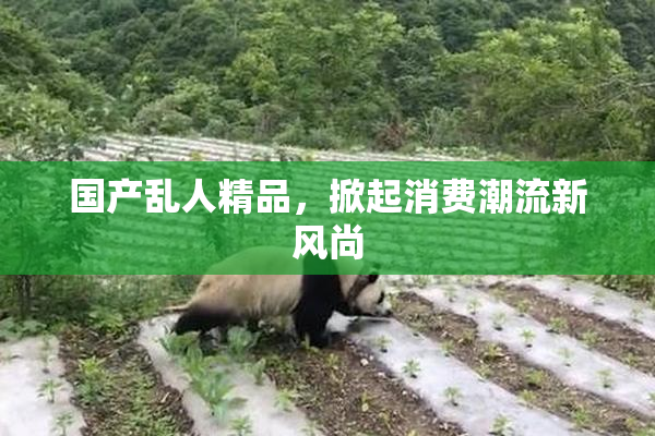 国产乱人精品，掀起消费潮流新风尚