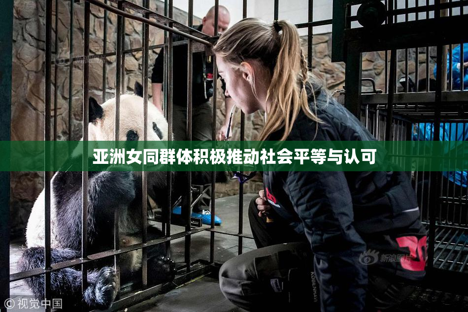 亚洲女同群体积极推动社会平等与认可