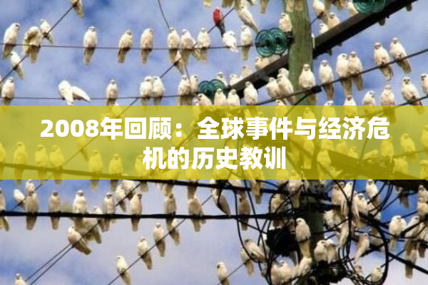 2008年回顾：全球事件与经济危机的历史教训