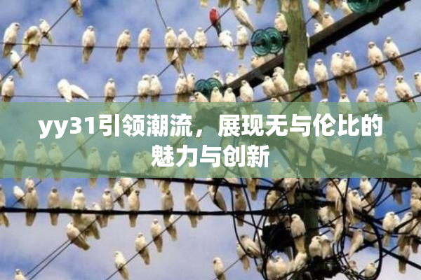 yy31引领潮流，展现无与伦比的魅力与创新
