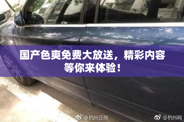 国产色爽免费大放送，精彩内容等你来体验！