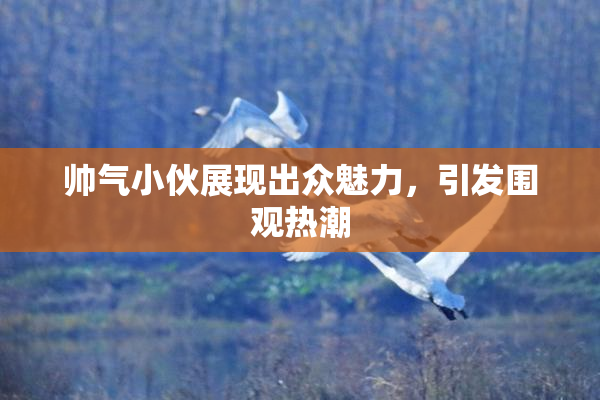 帅气小伙展现出众魅力，引发围观热潮