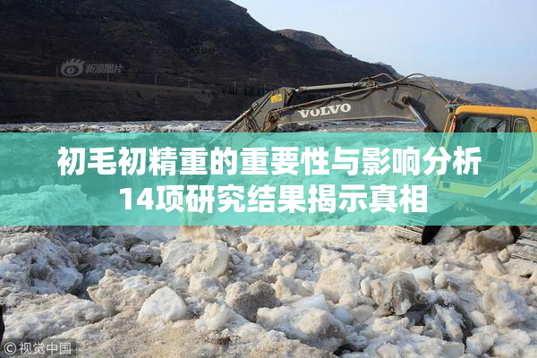 初毛初精重的重要性与影响分析 14项研究结果揭示真相