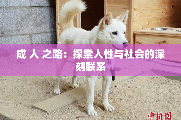 成 人 之路：探索人性与社会的深刻联系