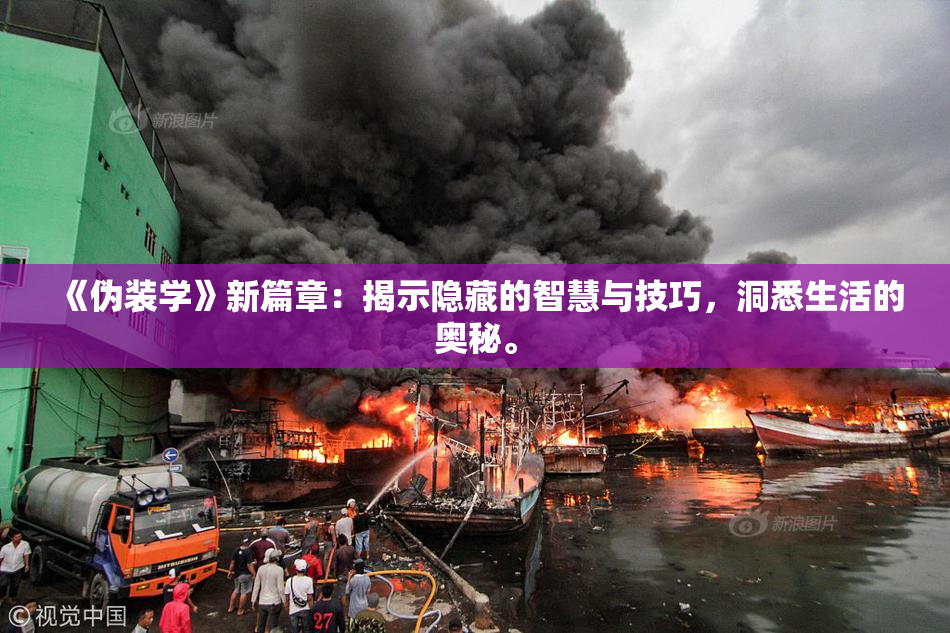 《伪装学》新篇章：揭示隐藏的智慧与技巧，洞悉生活的奥秘。