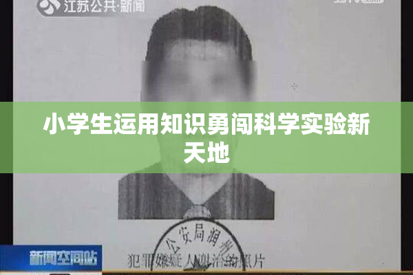 小学生运用知识勇闯科学实验新天地