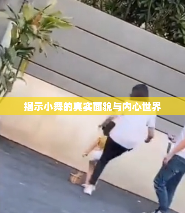 揭示小舞的真实面貌与内心世界