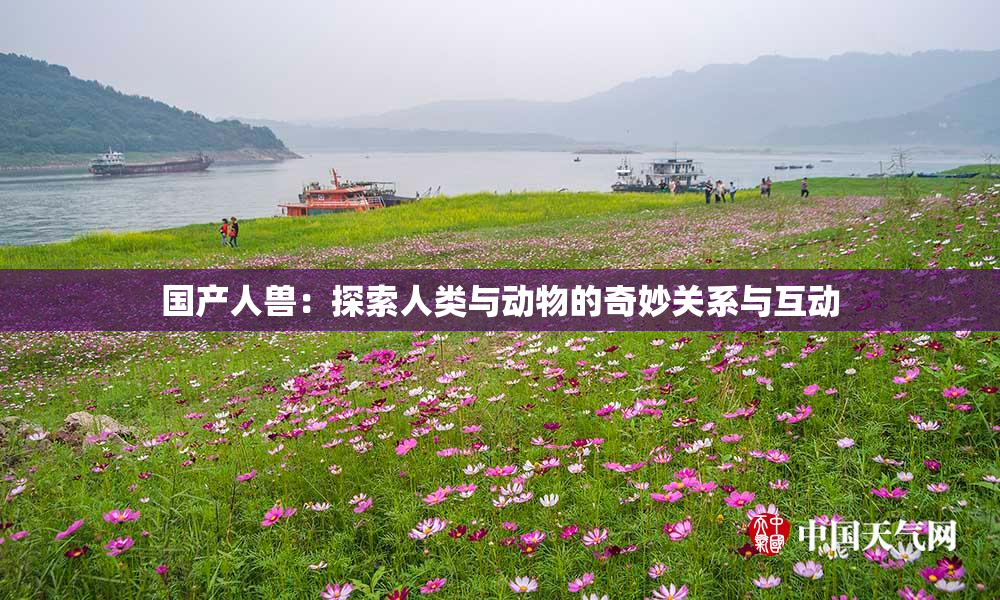 国产人兽：探索人类与动物的奇妙关系与互动