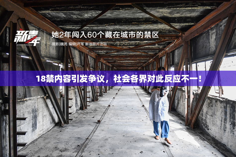18禁内容引发争议，社会各界对此反应不一！