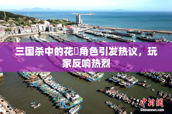 三国杀中的花鬘角色引发热议，玩家反响热烈