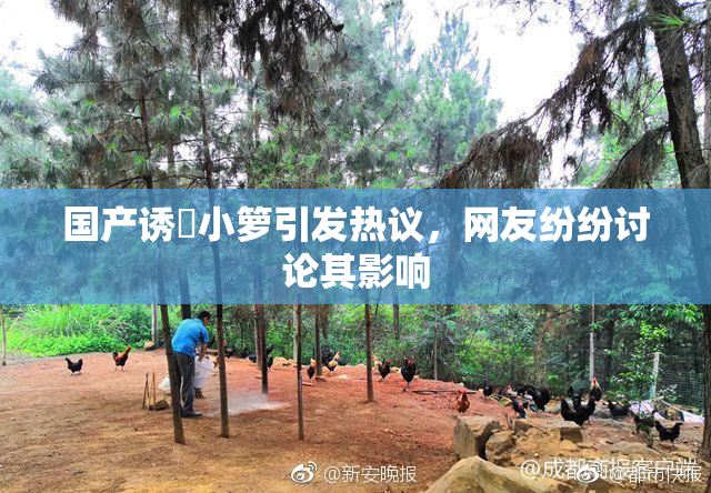 国产诱奷小箩引发热议，网友纷纷讨论其影响