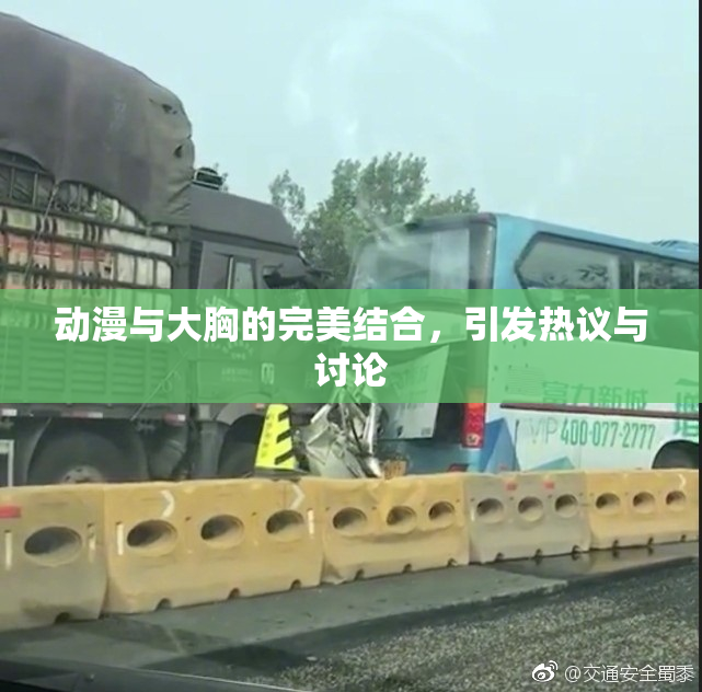动漫与大胸的完美结合，引发热议与讨论