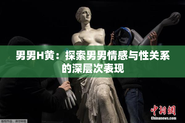 男男H黄：探索男男情感与性关系的深层次表现