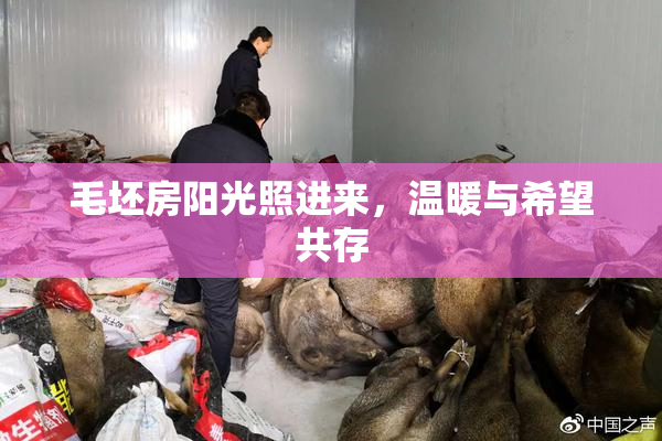毛坯房阳光照进来，温暖与希望共存