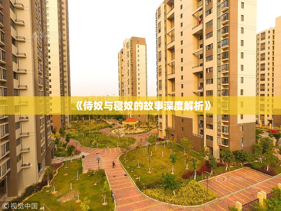 《侍奴与寝奴的故事深度解析》