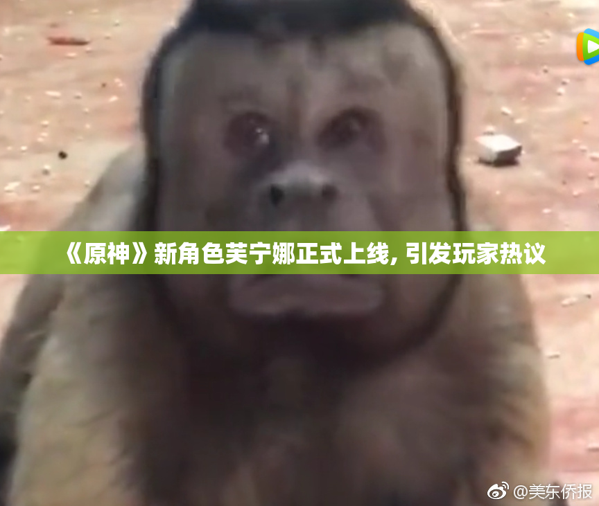 《原神》新角色芙宁娜正式上线, 引发玩家热议