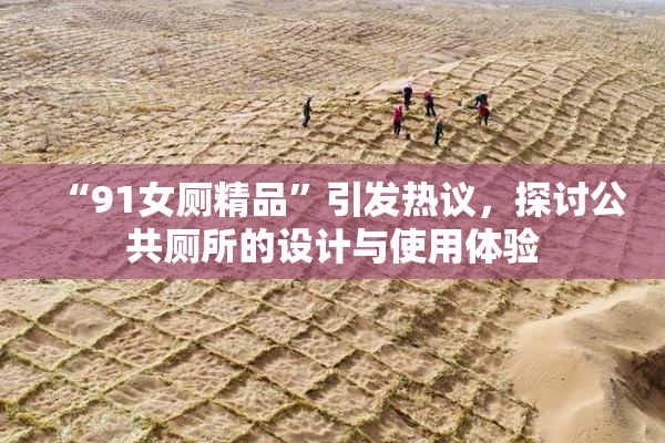 “91女厕精品”引发热议，探讨公共厕所的设计与使用体验