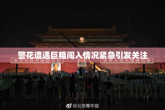 警花遭遇巨粗闯入情况紧急引发关注