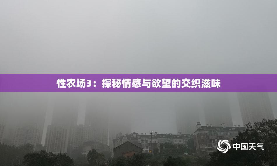 性农场3：探秘情感与欲望的交织滋味