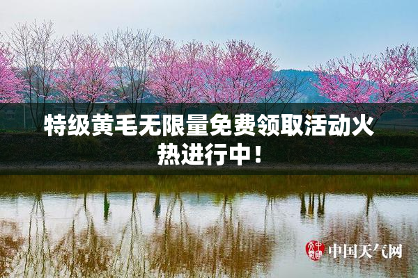 特级黄毛无限量免费领取活动火热进行中！