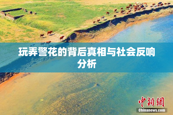 玩弄警花的背后真相与社会反响分析