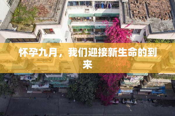 怀孕九月，我们迎接新生命的到来