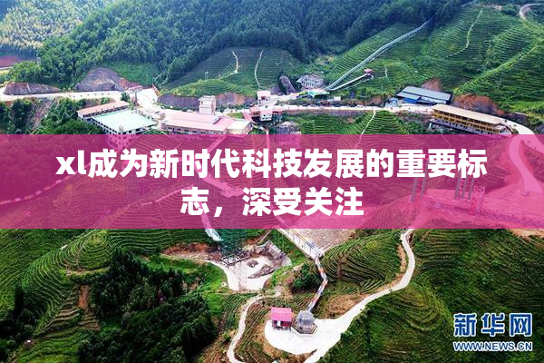 xl成为新时代科技发展的重要标志，深受关注