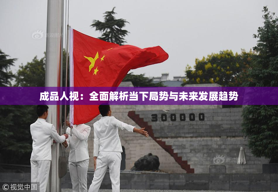 成品人视：全面解析当下局势与未来发展趋势