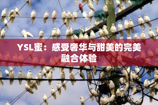 YSL蜜：感受奢华与甜美的完美融合体验