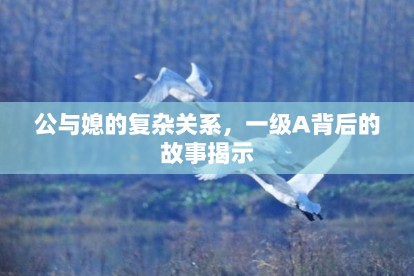 公与媳的复杂关系，一级A背后的故事揭示