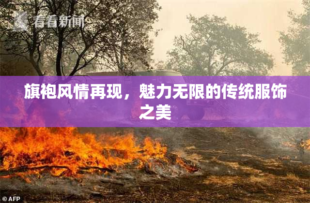 旗袍风情再现，魅力无限的传统服饰之美