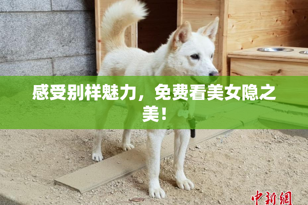感受别样魅力，免费看美女隐之美！