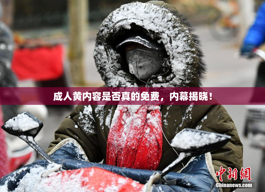 成人黄内容是否真的免费，内幕揭晓！