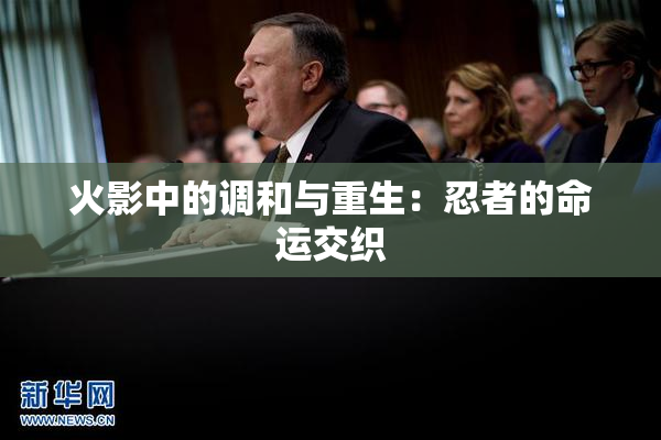 火影中的调和与重生：忍者的命运交织