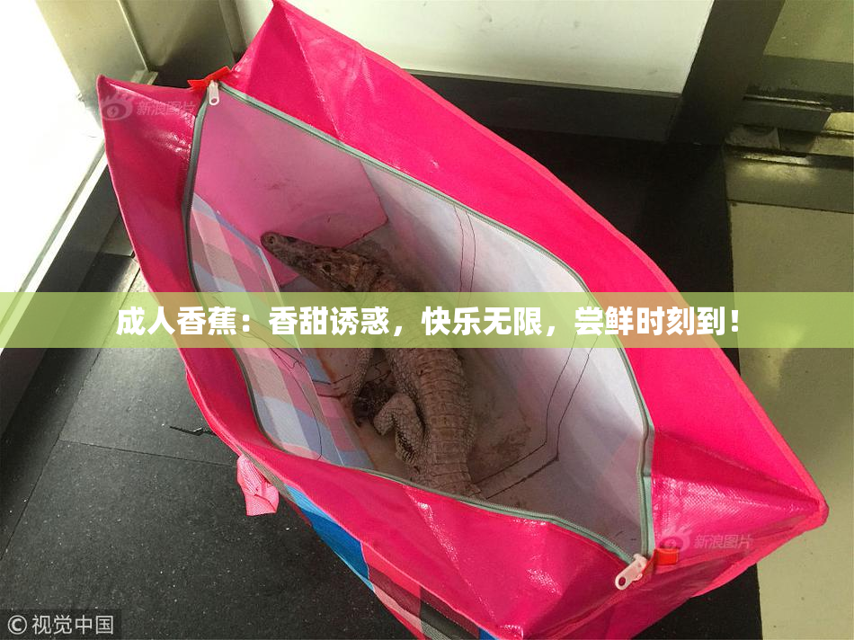 成人香蕉：香甜诱惑，快乐无限，尝鲜时刻到！