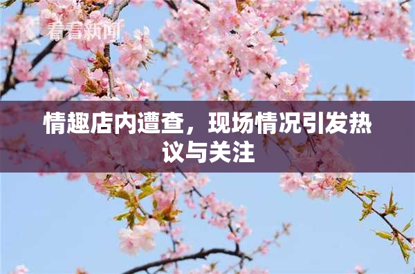 情趣店内遭查，现场情况引发热议与关注