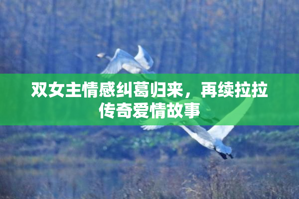 双女主情感纠葛归来，再续拉拉传奇爱情故事