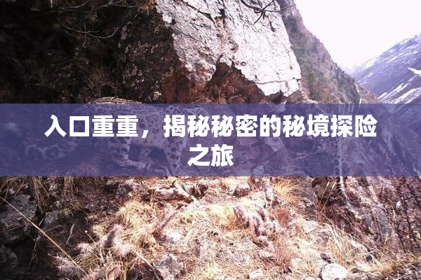 入口重重，揭秘秘密的秘境探险之旅