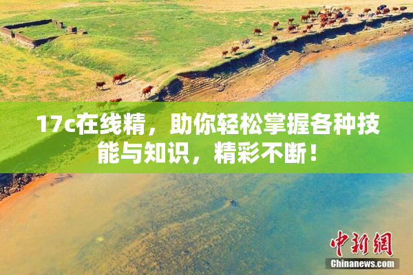 17c在线精，助你轻松掌握各种技能与知识，精彩不断！