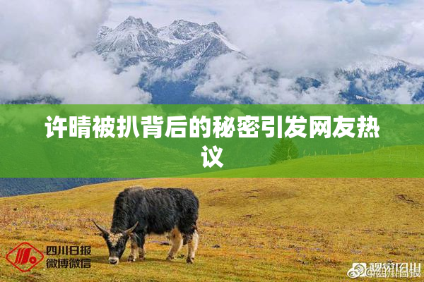 许晴被扒背后的秘密引发网友热议
