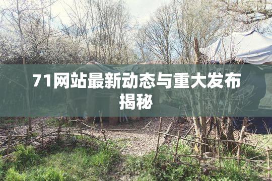 71网站最新动态与重大发布揭秘