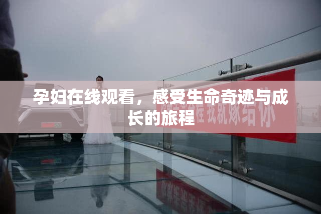 孕妇在线观看，感受生命奇迹与成长的旅程