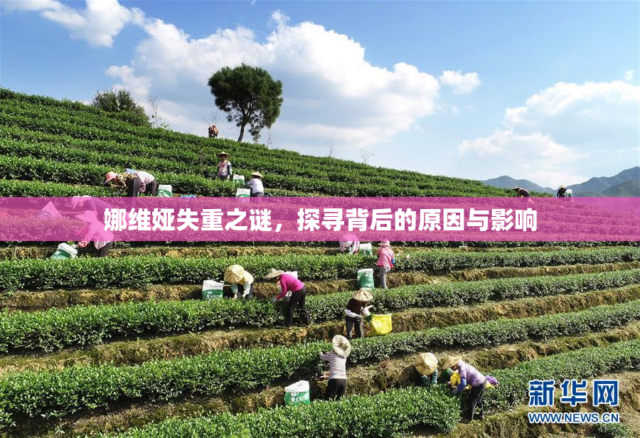 娜维娅失重之谜，探寻背后的原因与影响