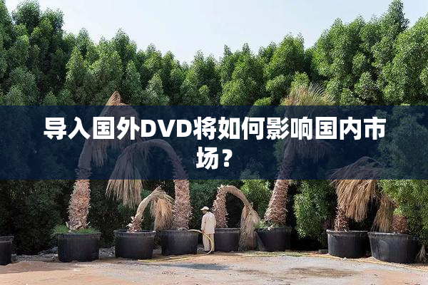 导入国外DVD将如何影响国内市场？